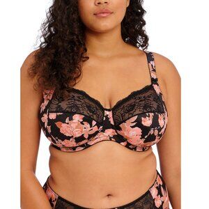 ELOMI LINGERIE WATERCOLOR Full Figure Morgan Underwire Bra